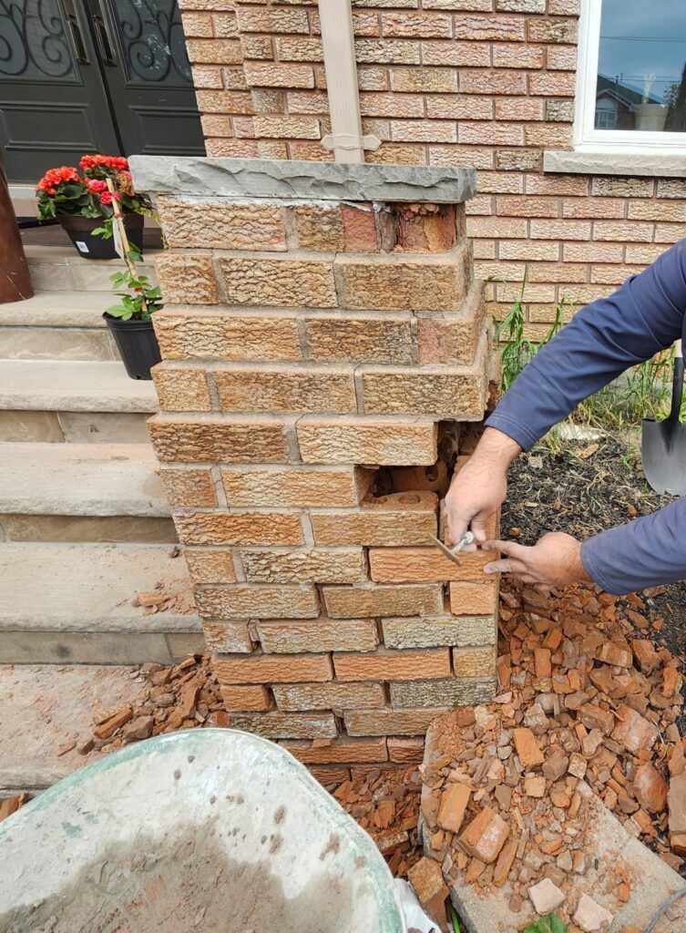 whatsapp image 2026 02 11 at 1.49.25 am